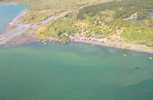 Alerta por algas tóxicas en el lago Villarrica