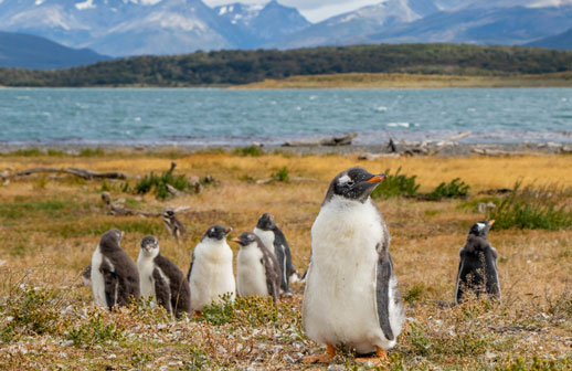 Proponen corredor turístico binacional en Tierra del Fuego