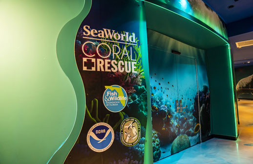 SeaWorld Orlando abre su primer Coral Rescue Center