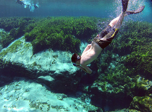Los encantos subacuáticos de Florida