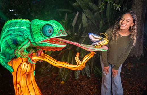 Aquatica Orlando lanza Illuminate, su primer festival nocturno de linternas