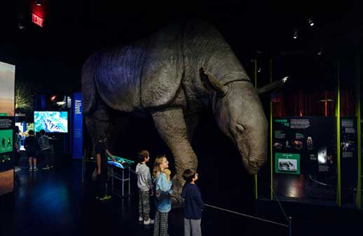 Nueva York despliega una temporada de grandes maestros y experiencias inmersivas