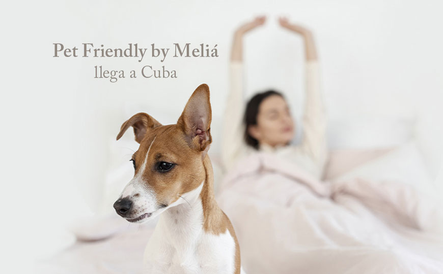 Programa para mascotas Pet Friendly by Meliá llega a Cuba