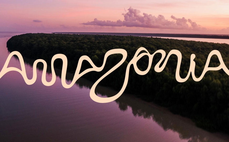 La Amazonía estrena una marca común 
